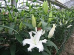 [Motherschoice 16-18 040130.JPG]